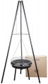 Levistella LV210719T