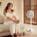 Duux Whisper Flex 2