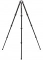 Benro Tortoise 24C