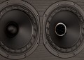 FYNE AUDIO F5E LCR