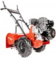 Cedrus GLX 480F