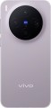 Vivo X300