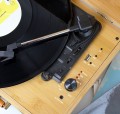Musicality BPL