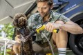 Karcher OC Handheld Compact BA