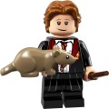 Lego Harry Potter and Fantastic Beasts Series 1 71022