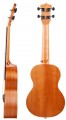Enya EUC-25D