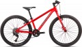 ORBEA MX 24 Team 2020