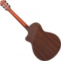 Furch GNc 4-CR + LR Baggs
