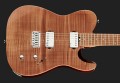 Harley Benton Fusion-T HH HT