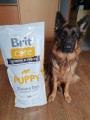 Brit Care Puppy Lamb/Rice 18 kg