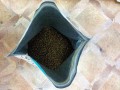 1st Choice Healthy Skin and Coat Salmon 0.9 kg