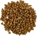 Savory Adult Cat Steril Fresh Lamb/Chicken 2 kg