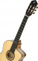 Ortega BYWSM
