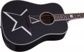 Schecter Robert Smith RS-1000 Busker Acoustic