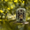 Wildcamera XL EZ2 Elite