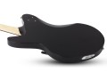 Schecter Robert Smith UltraCure