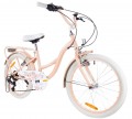 Sun Baby Flower Bike 20
