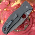 Spyderco Bodacious BB