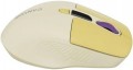 Canyon CNS-CMSW26