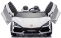 Ramiz Lamborghini Revuelto XL