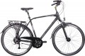 Indiana X-Road 3.0 M 2024 frame 17