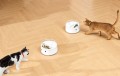 Catlink F03 Standard