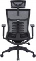 OfficePro Balance OC620