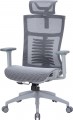 OfficePro Balance OC620