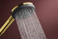 Hansgrohe Raindance Alive Select S 125 24500000