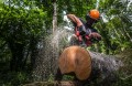 Milwaukee M18 F2CHS50-0
