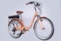 Dorozhnik eLux 500W 26 2025