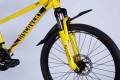 Discovery Qube DD CS 24 2025