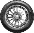 Nexen Eurovis Alpine 2