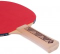 Donic Champs 150 Set