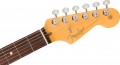 Fender American Professional Classic Stratocaster RW