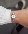 Daniel Wellington Petite Mini Arch 3-link DW00100853