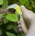OPINEL 10 Billhook