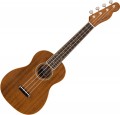 Fender Zuma Concert Uke