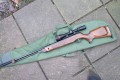 Gamo CF 20