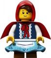 Lego Pop-Up Book 21315