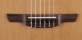 Takamine P3FCN