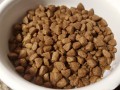 Grandorf Adult Sterilised Rabbit/Rice 0.4 kg