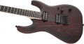 Jackson Pro Series Dinky DK Modern Ash HT6