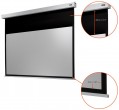 Celexon Electric Professional Plus 16:9