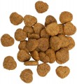 Savory Crunchy Snacks Kitten 50 g