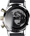 Timex Marlin TW2W51500