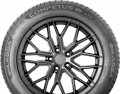 Lassa Competus H/P 3