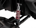 Ramiz Buggy UTV-MX 2000N