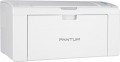 Pantum P2509W