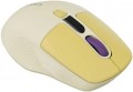 Canyon CNS-CMSW26
